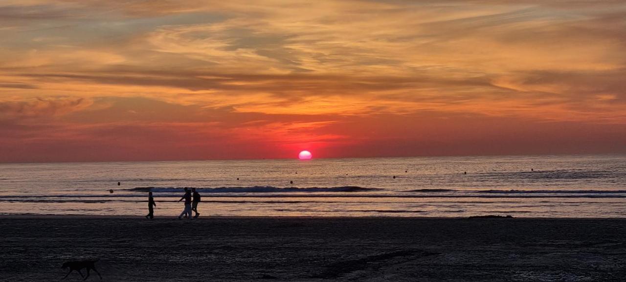 Superbe Studio Avec Une Magnifique Vue Sur La Mer. De Panne Kültér fotó